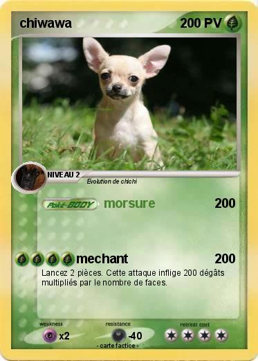 Pokemon chiwawa