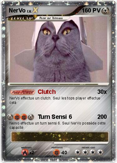 Pokemon NerVo