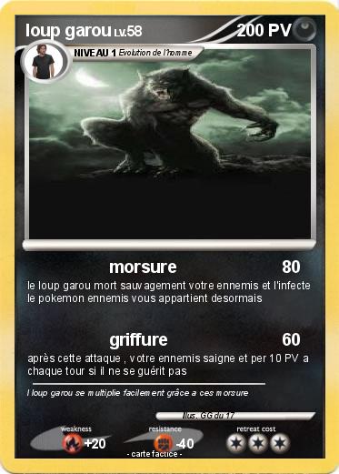 Pokemon loup garou