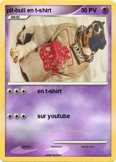 Pokemon pit-bull en t-shirt
