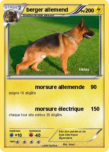 Pokemon berger allemend