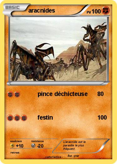 Pokemon aracnides