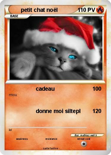 Pokemon petit chat noël