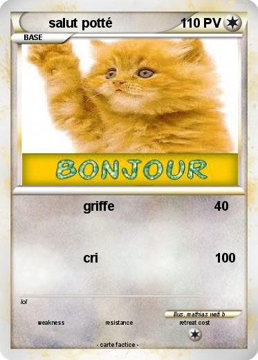 Pokemon salut potté