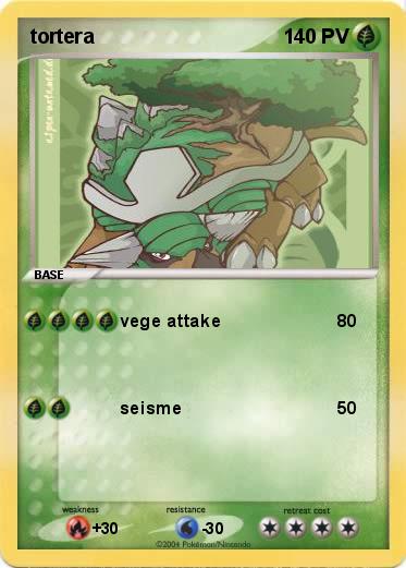 Pokemon tortera