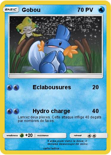 Pokemon Gobou