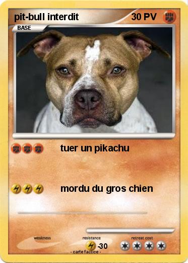 Pokemon pit-bull interdit
