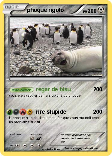 Pokemon phoque rigolo
