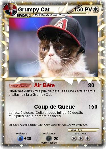 Pokemon Grumpy Cat