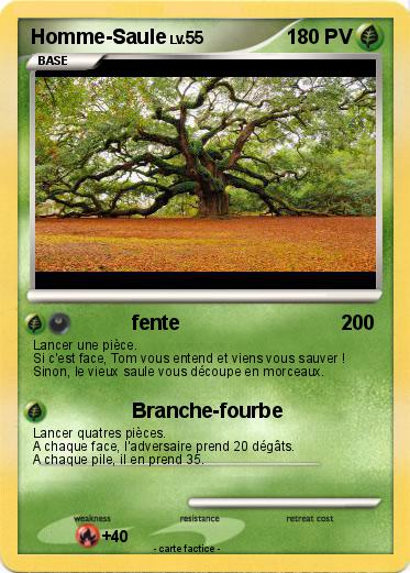Pokemon Homme-Saule