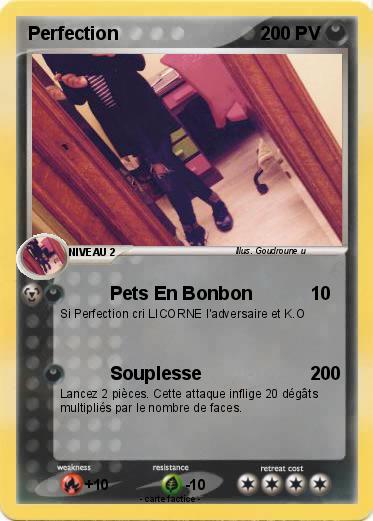 Pokemon Perfection