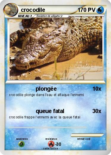 Pokemon crocodile