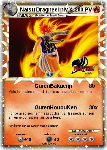 Pokemon Natsu Dragneel niv.X