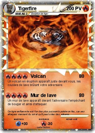 Pokemon Tigerfire