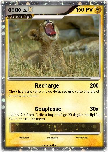 Pokemon dodo