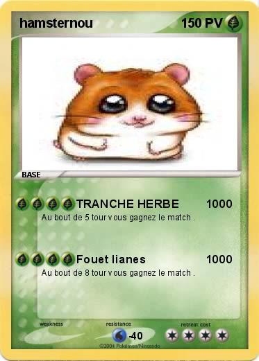 Pokemon hamsternou
