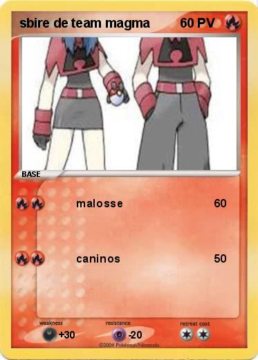 Pokemon sbire de team magma