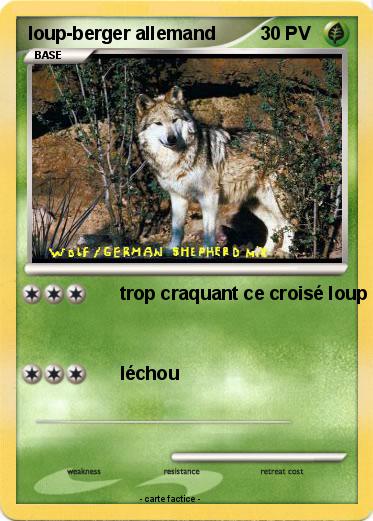 Pokemon loup-berger allemand