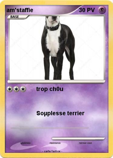Pokemon am'staffie