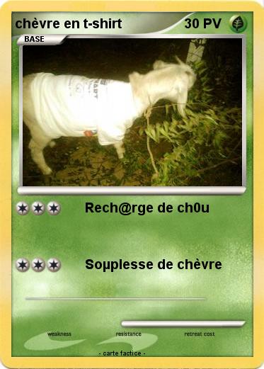 Pokemon chèvre en t-shirt