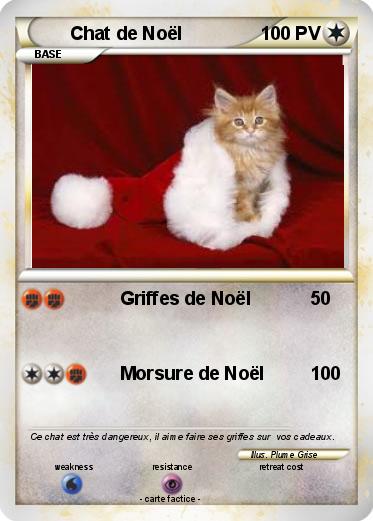 Pokemon Chat de Noël