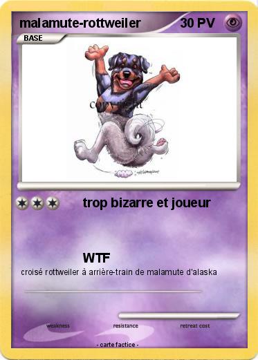 Pokemon malamute-rottweiler