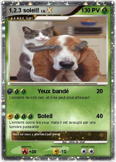 Pokemon 1.2.3 soleil!