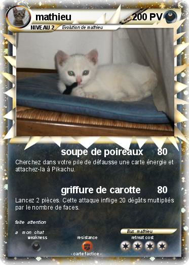 Pokemon mathieu