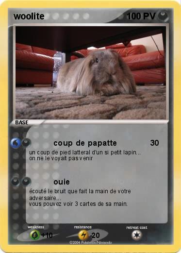 Pokemon woolite