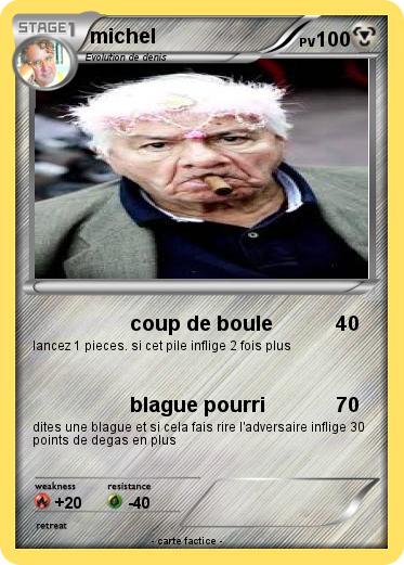 Pokemon michel