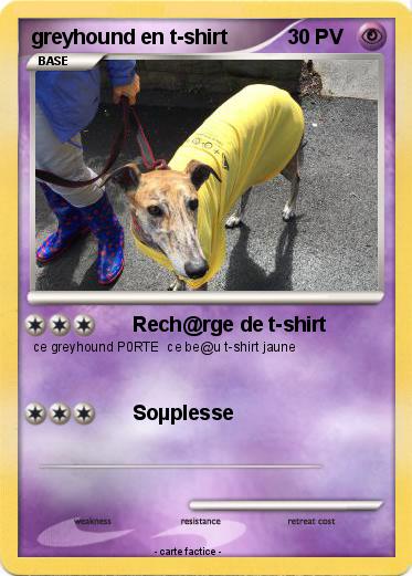 Pokemon greyhound en t-shirt