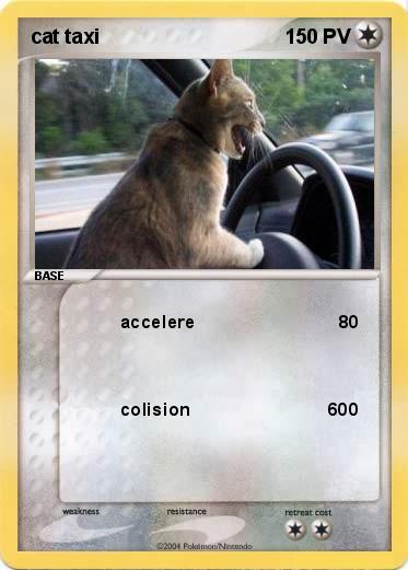 Pokemon cat taxi