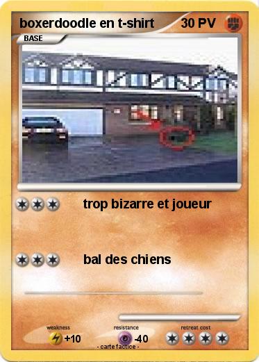 Pokemon boxerdoodle en t-shirt