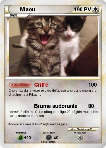 Pokemon Miaou