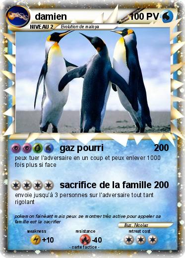 Pokemon damien