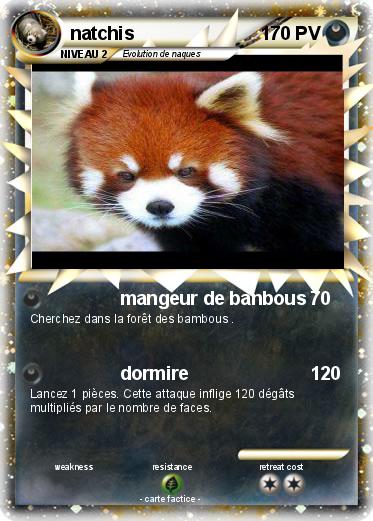 Pokemon natchis