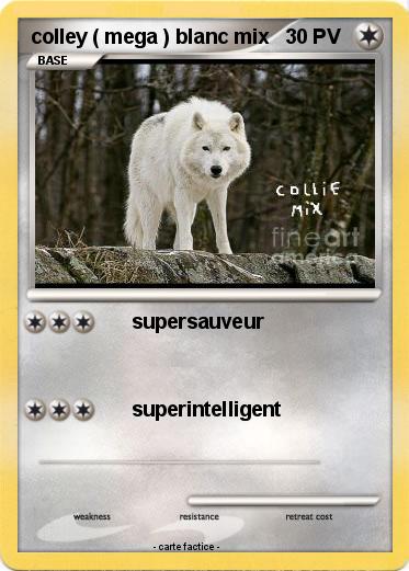 Pokemon colley ( mega ) blanc mix