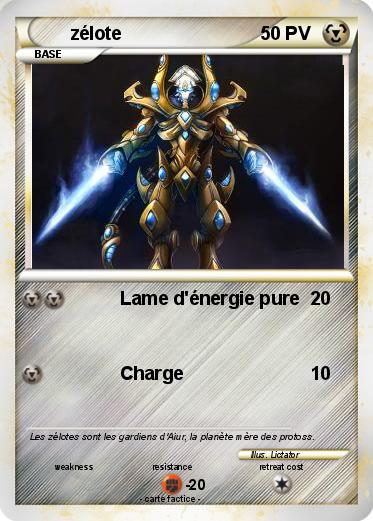 Pokemon zélote