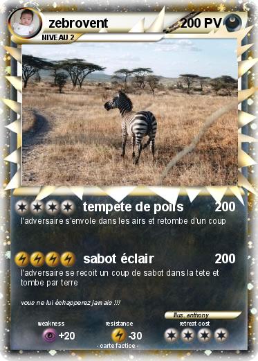 Pokemon zebrovent