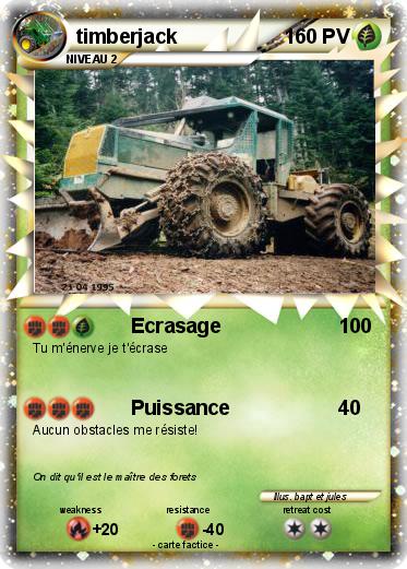 Pokemon timberjack