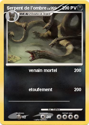 Pokemon Serpent de l'ombre