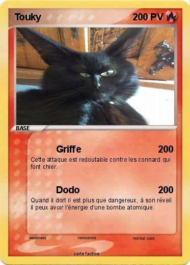 Pokemon Touky