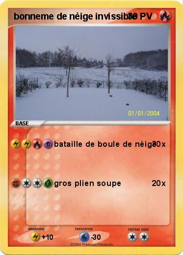 Pokemon bonneme de nèige invissible