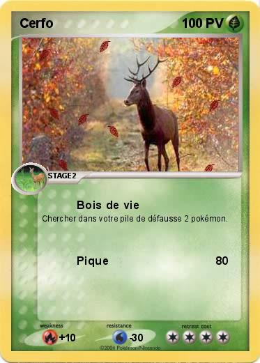 Pokemon Cerfo
