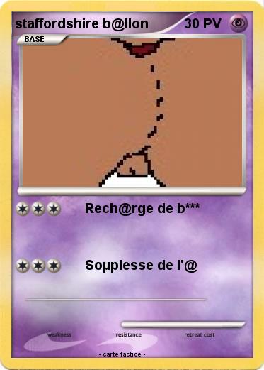 Pokemon staffordshire b@llon