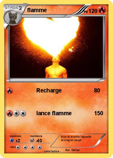 Pokemon flamme