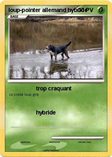 Pokemon loup-pointer allemand hybride