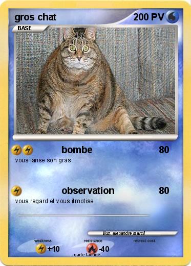 Pokemon gros chat