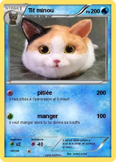 Pokemon Tit minou