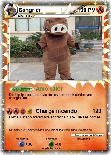 Pokemon Sangrier